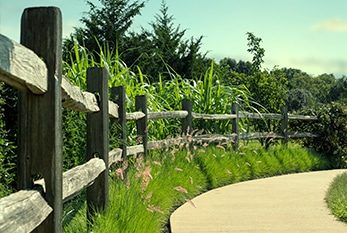 Split Rail Fence Installation